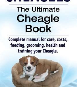 Cheagles. The Ultimate Cheagle Book. Complete manual for care, costs, feeding, grooming, health and training your Cheagle dog.