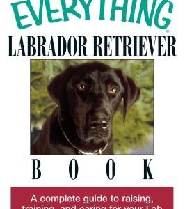 The Everything Labrador Retriever Book: A Complete Guide to Raising, Training, and Caring for Your Lab