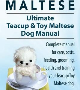Teacup Maltese and Toy Maltese Dogs. Ultimate Teacup & Toy Maltese Book. Complete manual for care, costs, feeding, grooming, health and training your