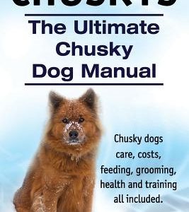 Chuskys. The Ultimate Chusky Dog Manual. Chusky dogs care, costs, feeding, grooming, health and training all included.