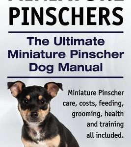 Miniature Pinschers. The Ultimate Miniature Pinscher Dog Manual. Miniature Pinscher care, costs, feeding, grooming, health and training all included.