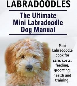 Mini Labradoodles. The Ultimate Mini Labradoodle Dog Manual. Miniature Labradoodle book for care, costs, feeding, grooming, health and training.