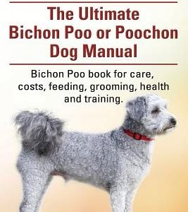 Bichon Poos. The Ultimate Bichon Poo or Poochon Dog Manual. Bichon Poo book for care,