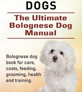 Bolognese Dogs. Ultimate Bolognese Dog Manual. Bolognese dog book for care, costs, feeding, grooming, health and training.