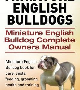 Miniature English Bulldogs. Miniature English Bulldog Complete Owners Manual. Miniature English Bulldog book for care, costs, feeding, grooming, healt
