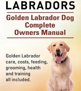 Golden Labradors. Golden Labrador Dog Complete Owners Manual. Golden Labrador care, costs, feeding, grooming, health and training all included.