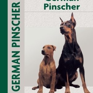 German Pinscher