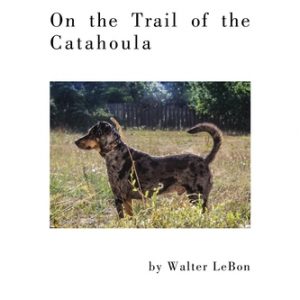 On the Trail of the Catahoula
