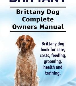 Brittany. Brittany Dog Complete Owners Manual. Brittany dog book for care, costs, feeding, grooming, health and training.