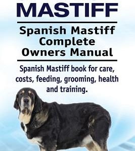 Spanish Mastiff. Spanish Mastiff Complete Owners Manual. Spanish Mastiff book for care, costs, feeding, grooming, health and training.