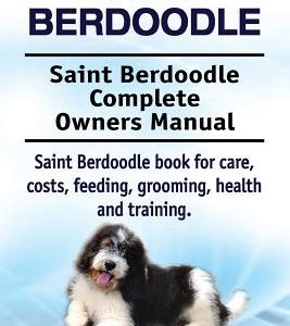 Saint Berdoodle. Saint Berdoodle Complete Owners Manual. Saint Berdoodle book for care, costs, feeding, grooming, health and training.