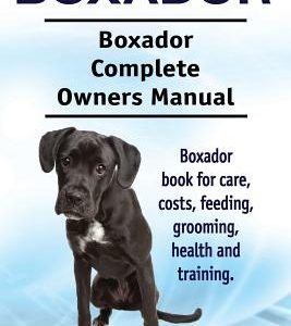 Boxador. Boxador Complete Owners Manual. Boxador book for care, costs, feeding, grooming, health and training.