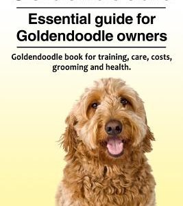 Goldendoodle. Essential guide for Goldendoodle owners. Goldendoodle book for training, care, costs, grooming and health.