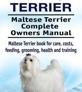 Maltese Terrier. Maltese Terrier Complete Owners Manual. Maltese Terrier book for care, costs, feeding, grooming, health and training.