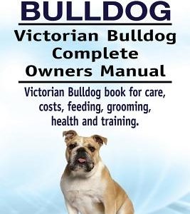 Victorian Bulldog. Victorian Bulldog Complete Owners Manual. Victorian Bulldog book for care, costs, feeding, grooming, health and training.