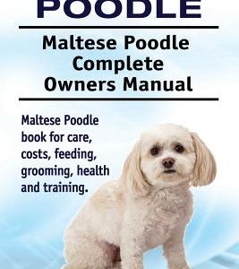 Maltese Poodle. Maltese Poodle Complete Owners Manual. Maltese Poodle book for care, costs, feeding, grooming, health and training.