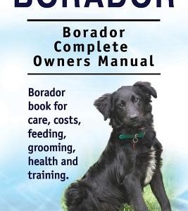 Borador. Borador Complete Owners Manual. Borador book for care, costs, feeding, grooming, health and training.