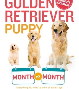 Your Golden Retriever Puppy Month by Month: Everything You Need to Know at Each Stage to Ensure Your Cute and Playful Puppy