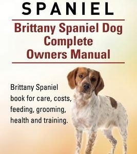 Britanny Spaniel. Brittany Spaniel Dog Complete Owners Manual. Brittany Spaniel book for care, costs, feeding, grooming, health and training.
