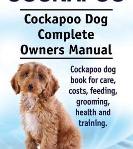 Cockapoo. Cockapoo Dog Complete Owners Manual. Cockapoo dog book for care, costs, feeding, grooming, health and training.