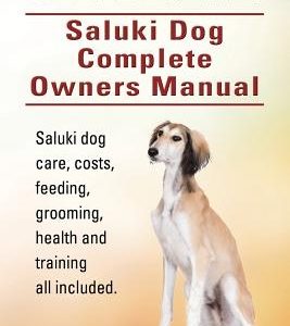 Saluki. Saluki Dog Complete Owners Manual. Saluki book for care, costs, feeding, grooming, health and training.