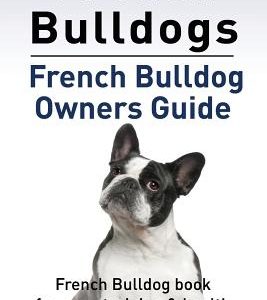 French Bulldogs. French Bulldog owners guide. French Bulldog book for care, training & health..