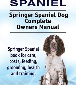 Springer Spaniel. Springer Spaniel Dog Complete Owners Manual. Springer Spaniel book for care, costs, feeding, grooming, health and training.