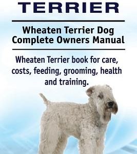 Wheaten Terrier. Wheaten Terrier Dog Complete Owners Manual. Wheaten Terrier book for care, costs, feeding, grooming, health and training.