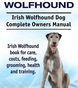Irish Wolfhound. Irish Wolfhound Dog Complete Owners Manual. Irish Wolfhound book for care, costs, feeding, grooming, health and training.