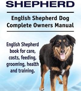 English Shepherd. English Shepherd Dog Complete Owners Manual. English Shepherd book for care, costs, feeding, grooming, health and training.