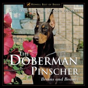 The Doberman Pinscher: Brains and Beauty