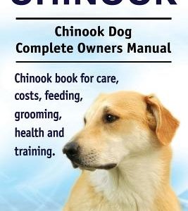 Chinook. Chinook Dog Complete Owners Manual. Chinook book for care, costs, feeding, grooming, health and training.
