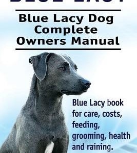 Blue Lacy. Blue Lacy Dog Complete Owners Manual. Blue Lacy book for care, costs, feeding, grooming, health and training.