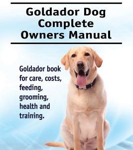 Goldador. Goldador Dog Complete Owners Manual. Goldador book for care, costs, feeding, grooming, health and training.