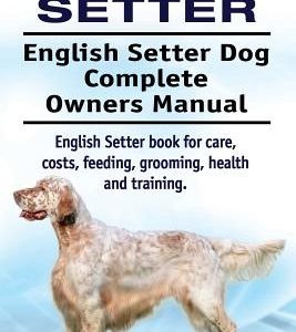 English Setter. English Setter Dog Complete Owners Manual. English Setter book for care, costs, feeding, grooming, health and training.