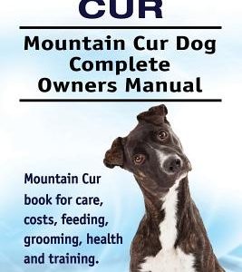 Mountain Cur. Mountain Cur Dog Complete Owners Manual. Mountain Cur book for care, costs, feeding, grooming, health and training.