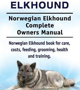 Norwegian Elkhound. Norwegian Elkhound Complete Owners Manual. Norwegian Elkhound book for care, costs, feeding, grooming, health and training.