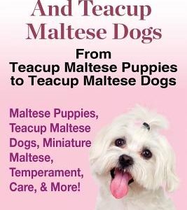 Teacup Maltese And Teacup Maltese Dogs: From Teacup Maltese Puppies to Teacup Maltese Dogs Includes: Maltese Puppies, Teacup Maltese Dogs, Miniature M