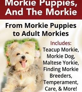Morkies, Morkie Puppies, And the Morkie: From Morkie Puppies to Adult Morkies Includes: Teacup Morkie, Morkie Dog, Maltese Yorkie, Finding Morkie Bree