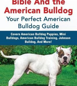 American Bulldog Bible And the American Bulldog: Your Perfect American Bulldog Guide Covers American Bulldog Puppies, Mini Bulldogs, American Bulldog