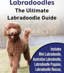 Labradoodle And Labradoodles: The Ultimate Labradoodle Guide Includes Mini Labradoodle, Australian Labradoodle, Labradoodle Puppies, Labradoodle Res