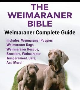 Weimaraner: The Weimaranar Bible: Weimaraner Complete Guide. Includes: Weimaraner Puppies, Weimaraner Dogs, Weimaraner Rescue, Bre