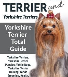 Yorkshire Terrier And Yorkshire Terriers: Yorkshire Terrier Total Guide Yorkshire Terriers, Yorkshire Terrier Puppies, Yorkie Dogs, Yorkshire Terrier