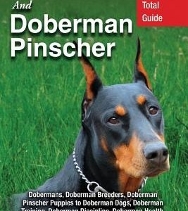 Doberman and Doberman Pinscher: Doberman Pinscher Complete Guide: Puppies, Training, Adults, Discipline, Health, Breeders, Care & More!