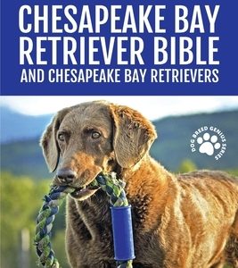 Chesapeake Bay Retriever Bible and Chesapeake Bay Retrievers: Your Perfect Chesapeake Bay Retriever Guide Chesapeake Bay Retrievers, Chesapeake Bay Re