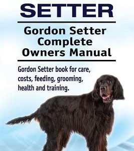 Gordon Setter. Gordon Setter Complete Owners Manual. Gordon Setter book for care, costs, feeding, grooming, health and training.