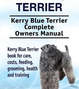 Kerry Blue Terrier. Kerry Blue Terrier Complete Owners Manual. Kerry Blue Terrier book for care, costs, feeding, grooming, health and training.