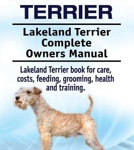 Lakeland Terrier. Lakeland Terrier Complete Owners Manual. Lakeland Terrier book for care, costs, feeding, grooming, health and training.