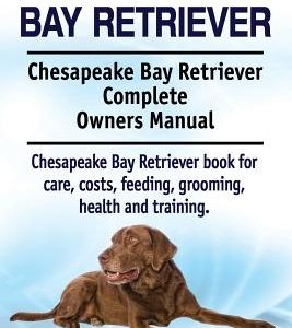 Chesapeake Bay Retriever. Chesapeake Bay Retriever Complete Owners Manual. Chesapeake Bay Retriever book for care, costs, feeding, grooming, health an