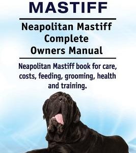 Neapolitan Mastiff. Neapolitan Mastiff Complete Owners Manual. Neapolitan Mastiff book for care, costs, feeding, grooming, health and training.